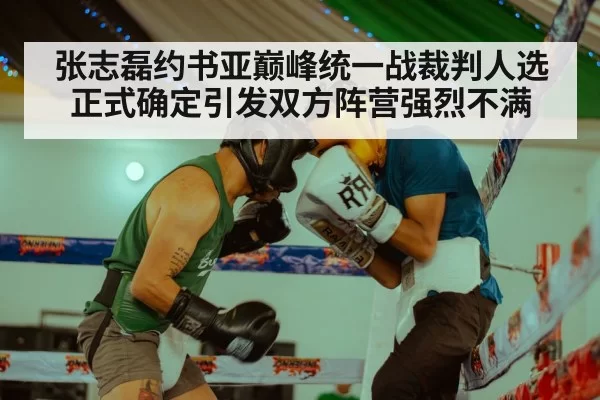 张志磊约书亚巅峰统一战裁判人选正式确定引发双方阵营强烈不满