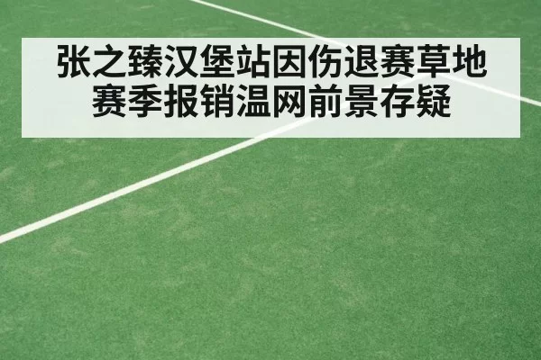 张之臻汉堡站因伤退赛草地赛季报销温网前景存疑
